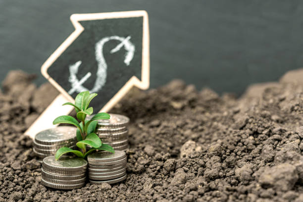 스테이블코인의 종류와 특징