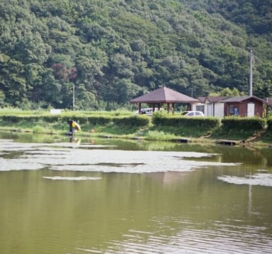 김포 가볼만한곳 베스트 10