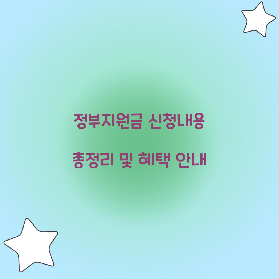 정부지원금 신청내용