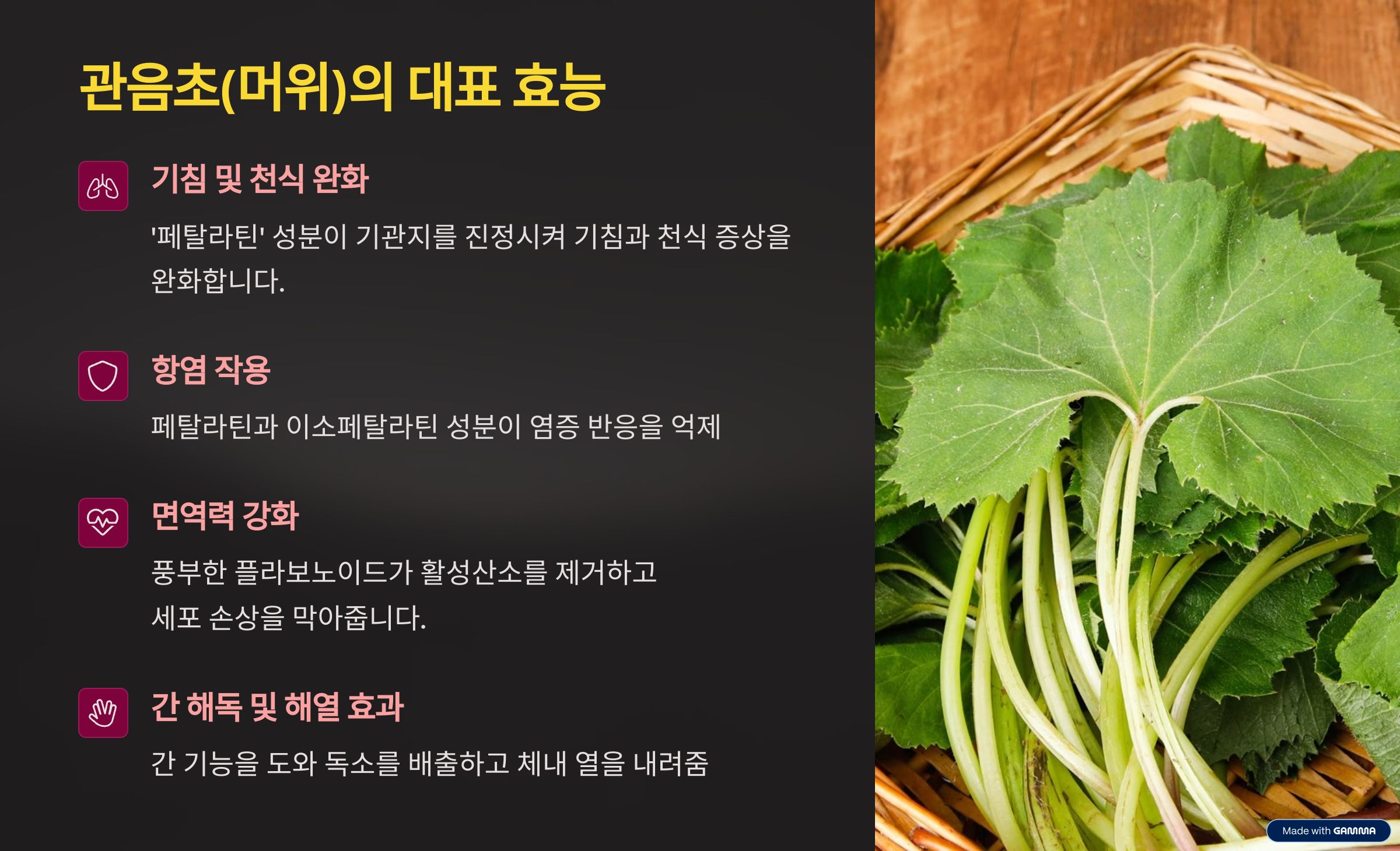 관음초(머위)의 대표 효능