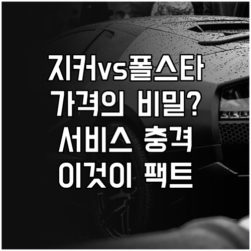 지커 9X와 폴스타 3 가격과 서비스..