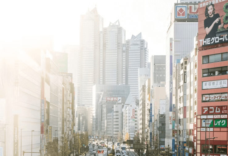 신호위반 과태료