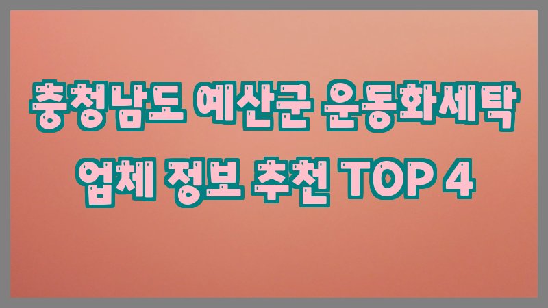 충청남도 예산군 운동화세탁