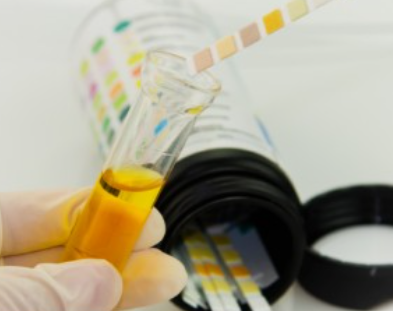 건강검진대상자조회