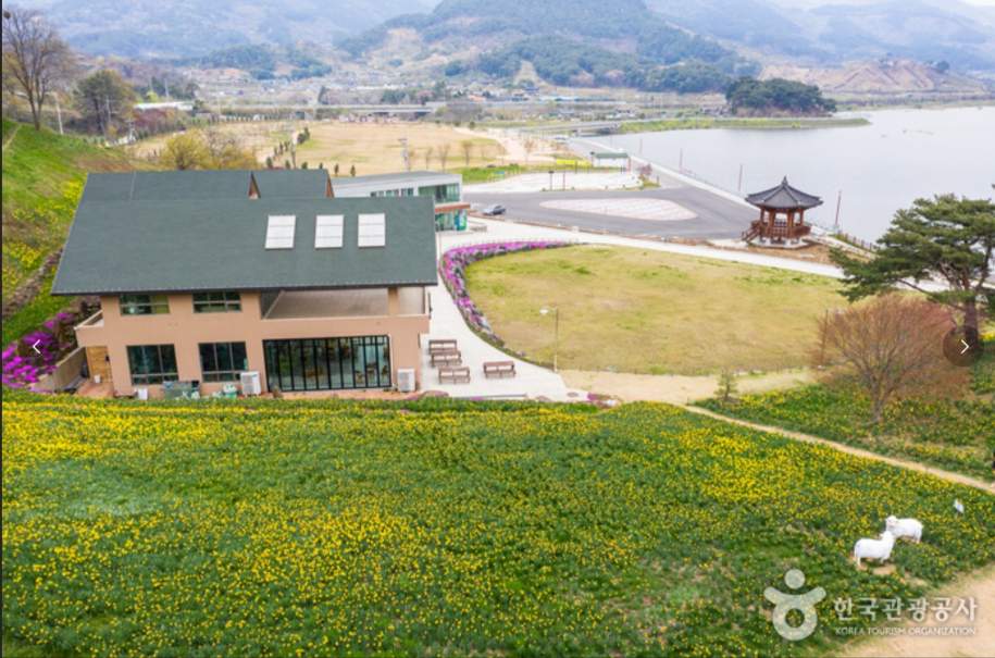 봄나들이 수선화 명소