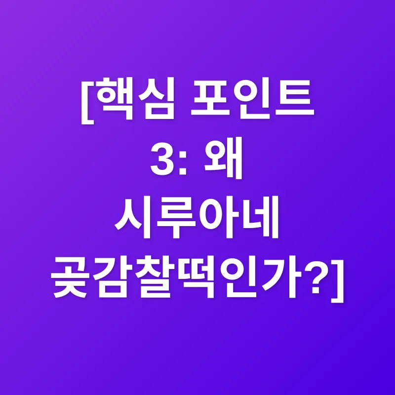 곶감찰떡_3