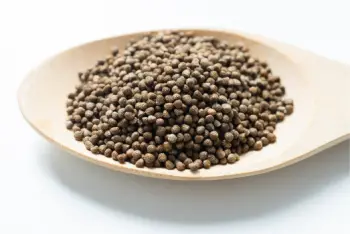 들깨 가격 및 효능&amp;#44; 영양소와 먹는 방법