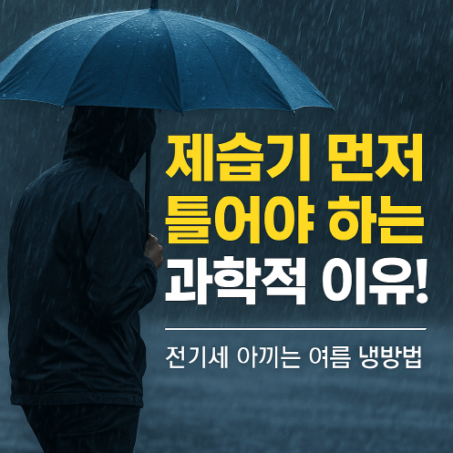 제습기 하나로 냉방비 절약! 여름철 스마트한 가전 사용법