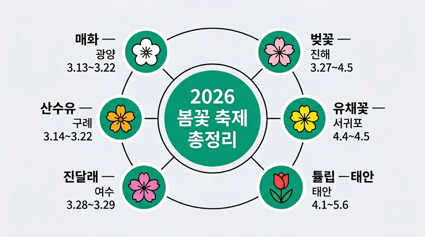 2026 전국 봄꽃 축제 일정 벚꽃 유채꽃 진달래 개화시기 총정리 인포그래픽