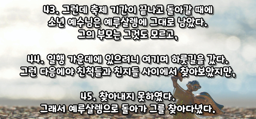 소년 예수를 잃어버림 (루카 2, 43-45)_성모 마리아의 7가지 고통