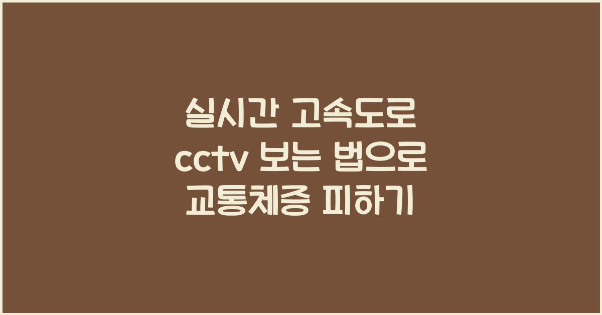 실시간 고속도로 cctv 보는 법