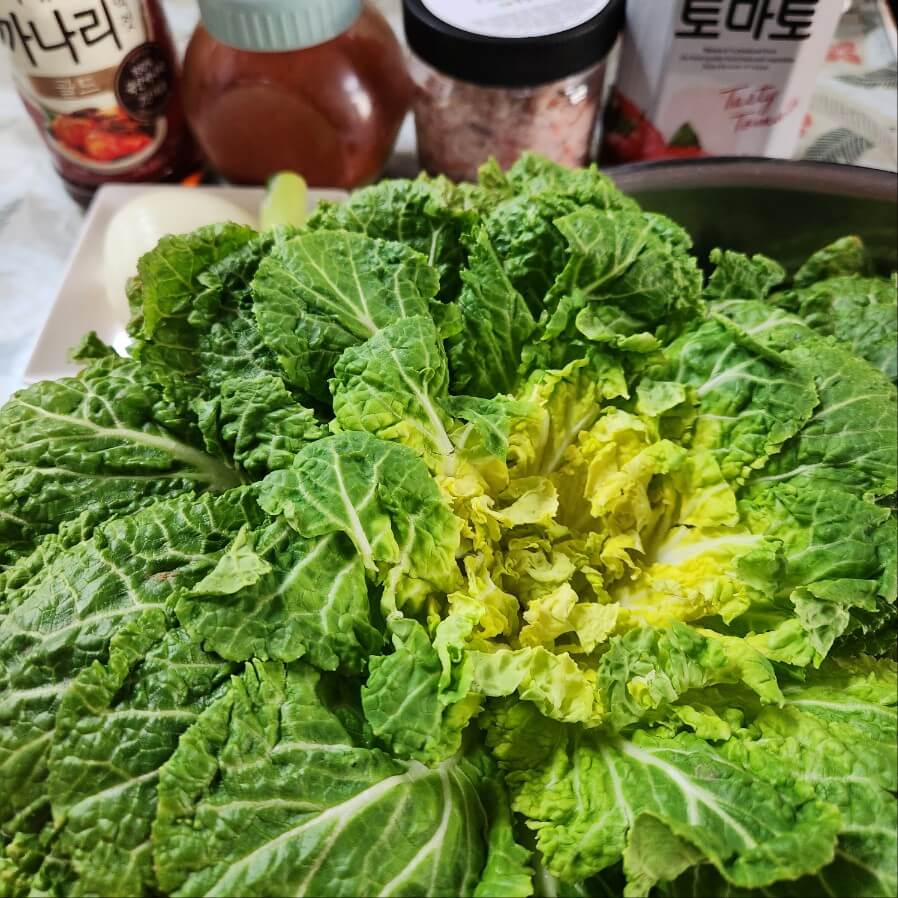 알토란 제철 봄동 봄 채소 맛있는 겉절이 만드는 법 깨알 팁