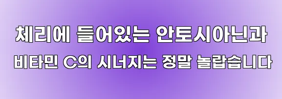  체리에 들어있는 안토시아닌과 비타민 C의 시너지는 정말 놀랍습니다