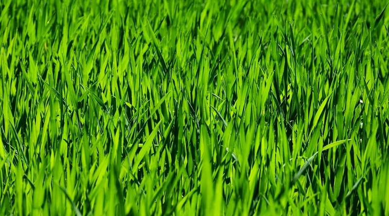 에폭시 시공의 절차