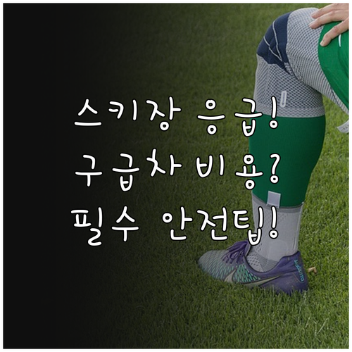 겨울 레포츠 안전 스키장 의료실 위치..