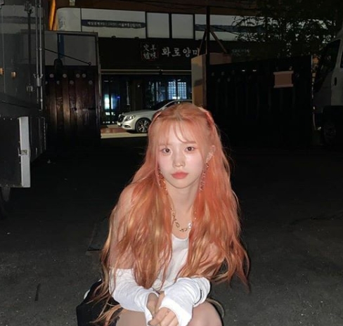 송하영(@shy9_29)