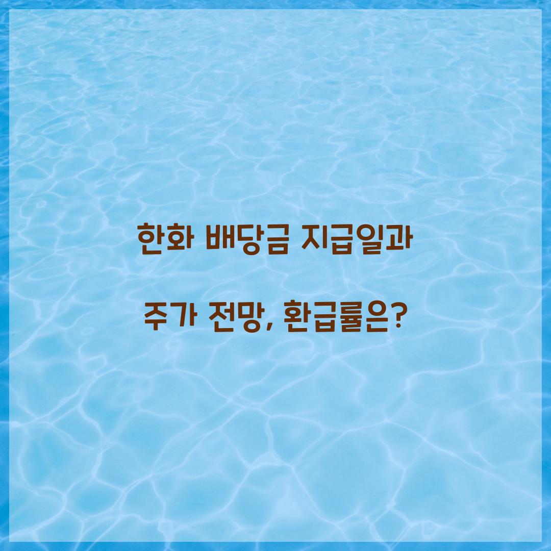 한화 배당금 지급일