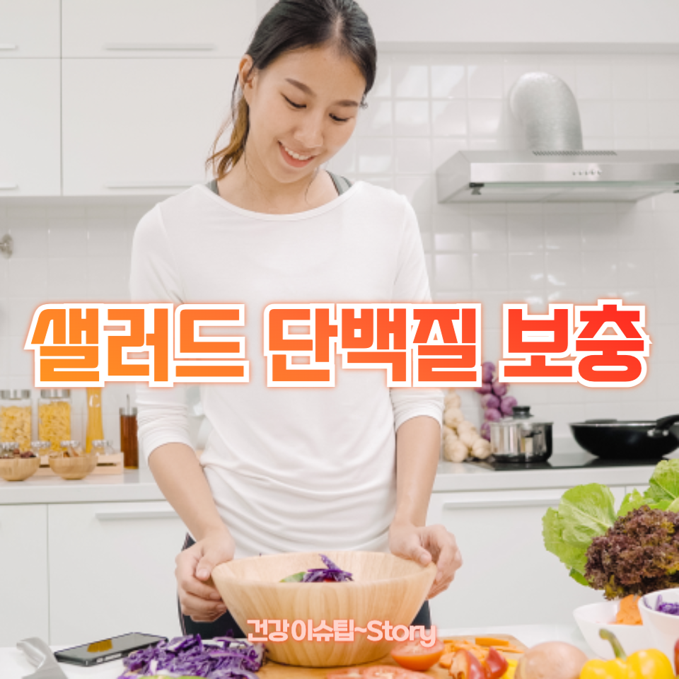 샐러드 단백질 보충
