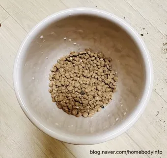 마사토 배합 비율 배수력개선 분갈이기본 시니어도 쉽게_8