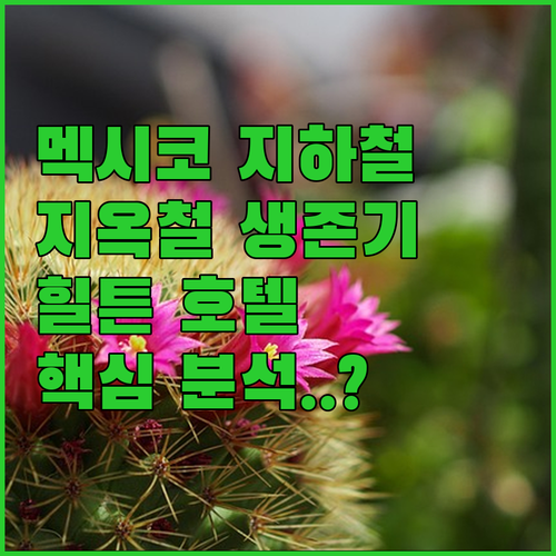 멕시코시티 지하철 생존 전략과 힐튼 ..