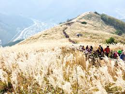 10월 가볼만한곳 베스트 