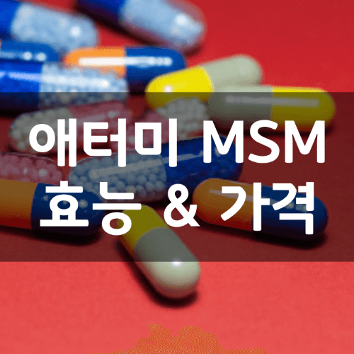 애터미 터마신 MSM 썸네일