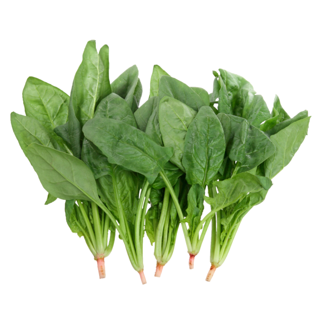 글루타치온과 관련된 사진입니다.