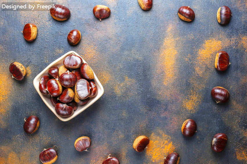 밤 보관하는 방법