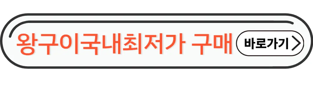왕구이 국내최저가 바로구매