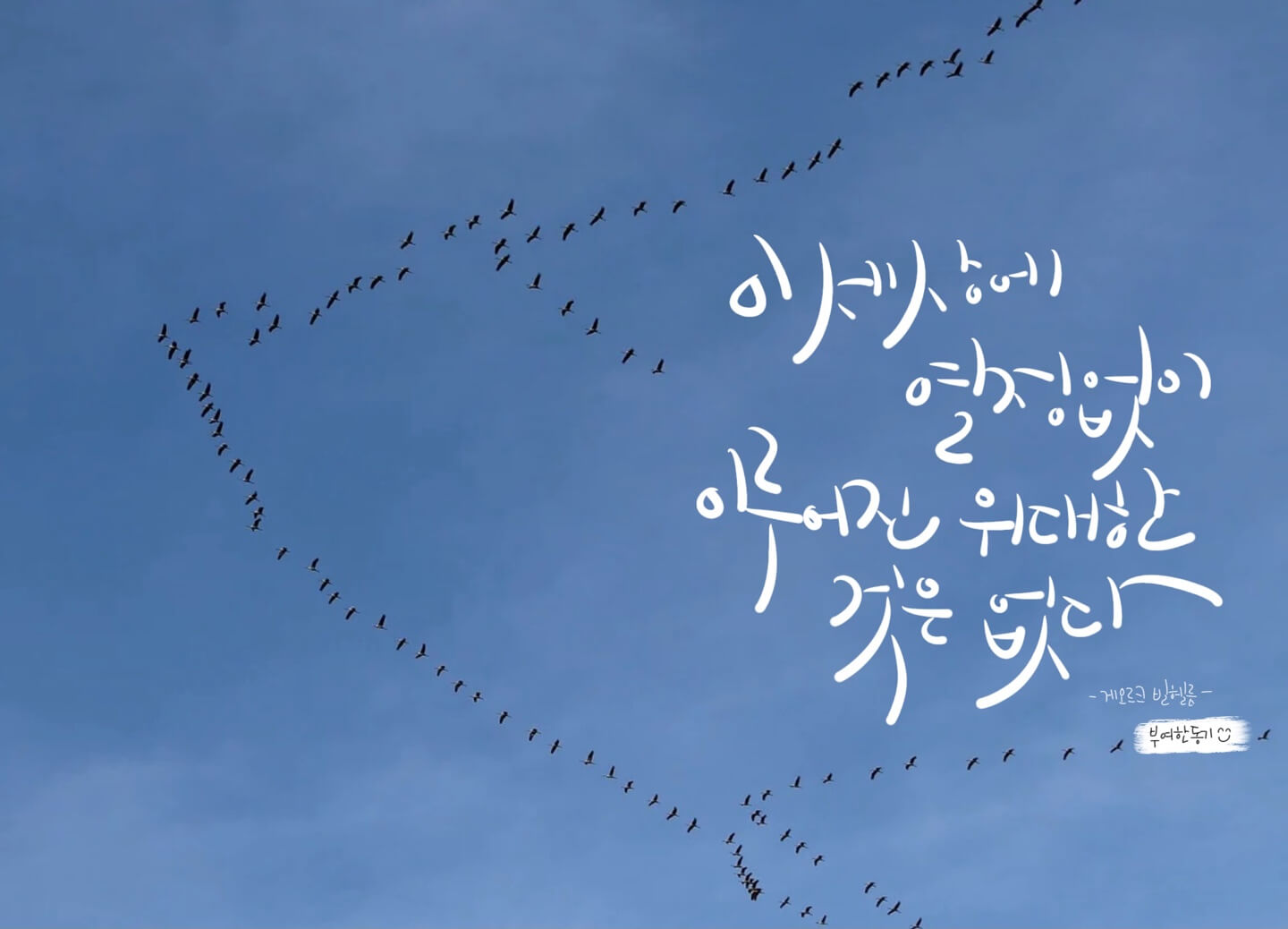 게오르크 빌헬름