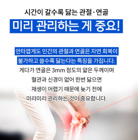 관절연골 통증 영양제 섭취로 개선하는 방법