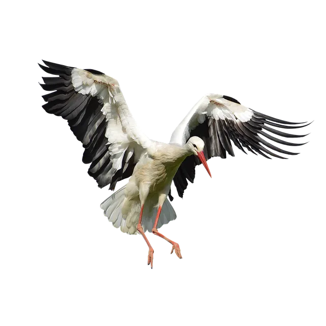 주광색 주백색 차이 비교 차이점_8