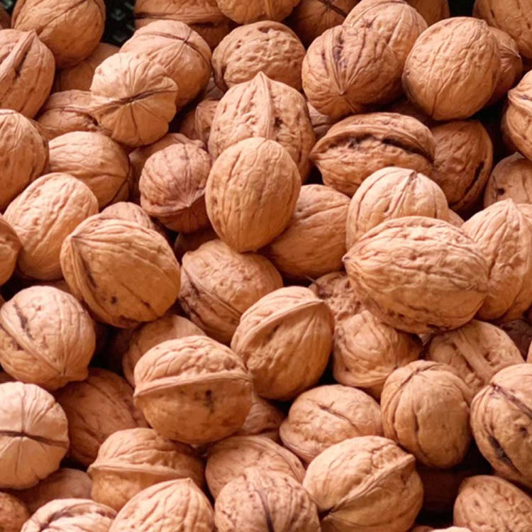 6시내고향 금산 깻잎 떡