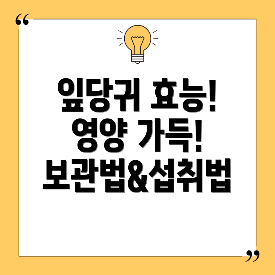 잎당귀