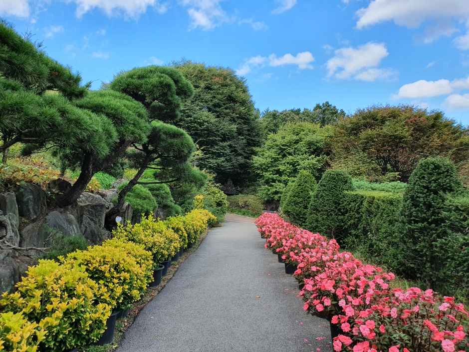 율봄식물원 봉선화