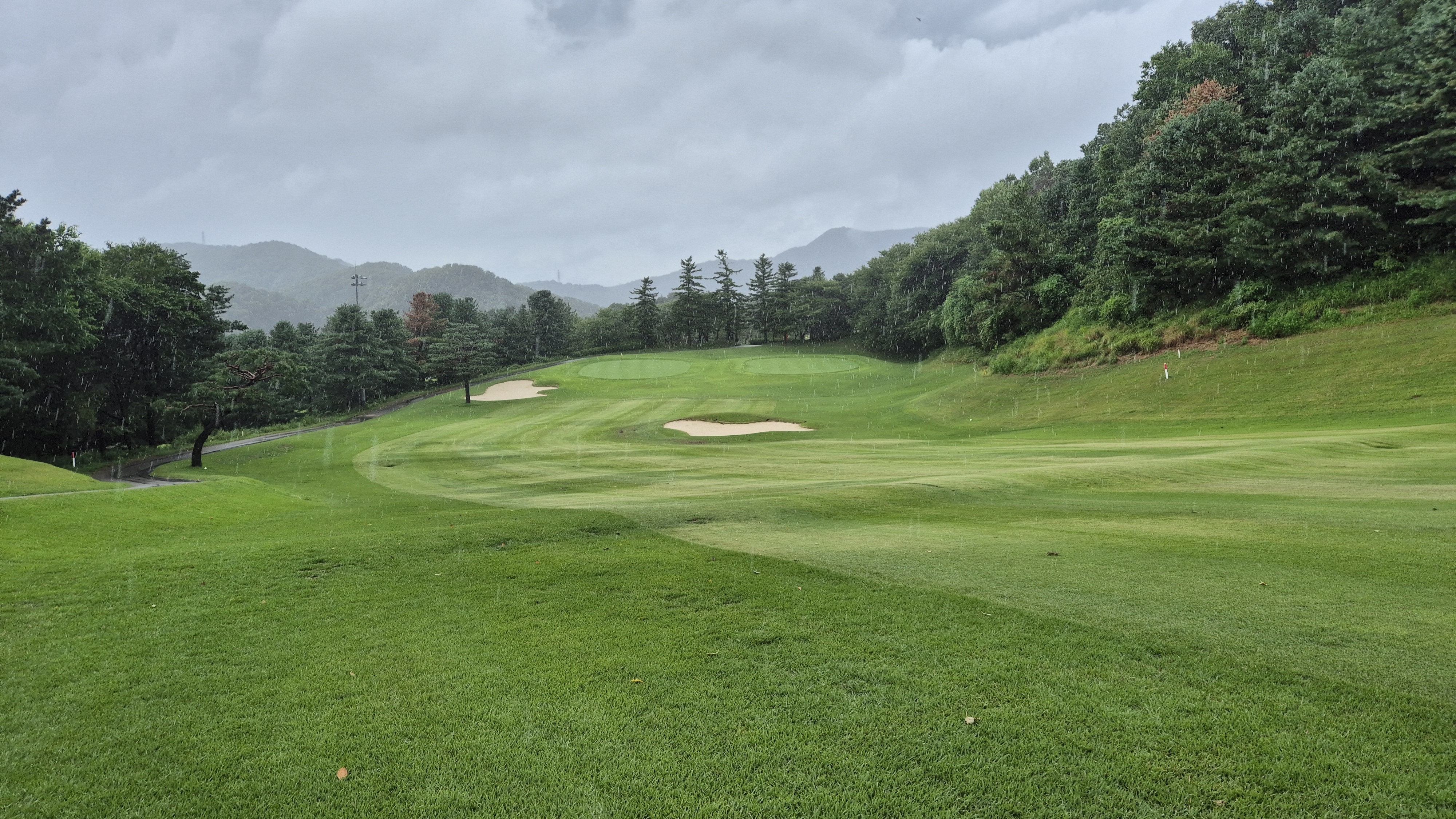 뉴서울cc 예술in-문화in 코스 사진 및 공략 정보