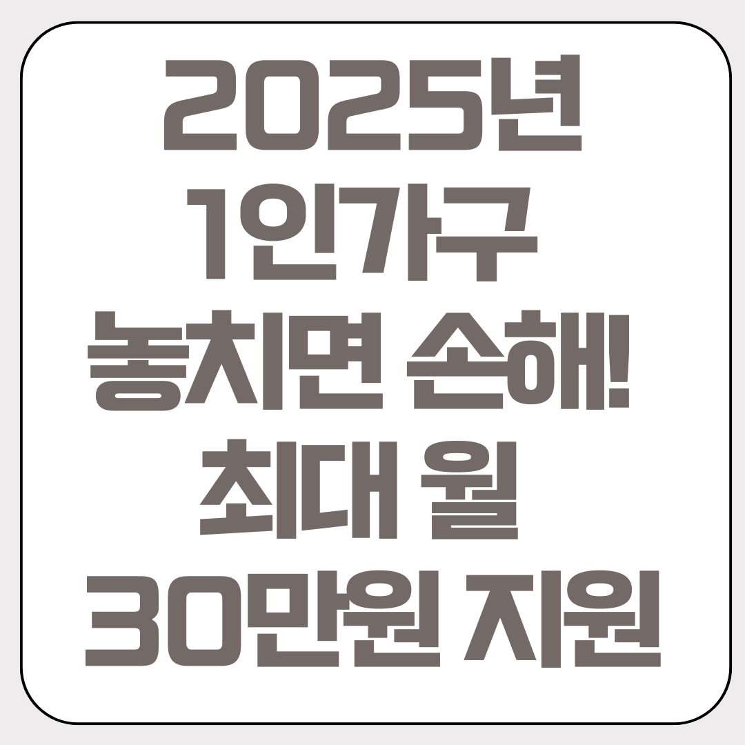 2025년-1인-가구-놓치면-손해-최대-월-30만원-지원