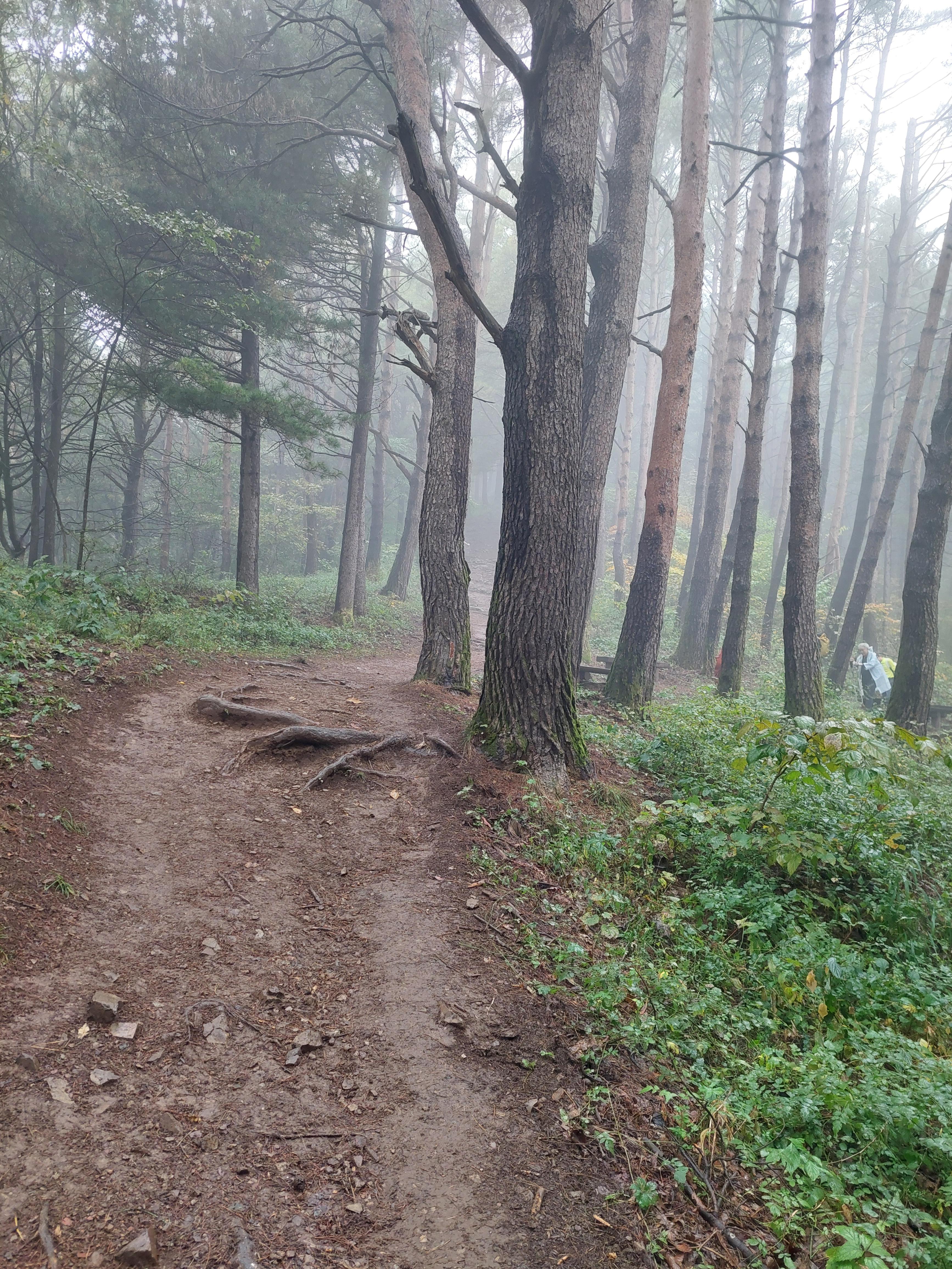 민둥산