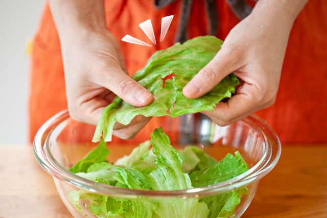 시든 상추 살리는방법, 시든 채소 싱싱하게, 얼음물 양상추, 팁줌 매일꿀정보