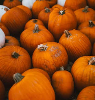 단호박 효능 부작용 영양성분 고르는법 칼로리