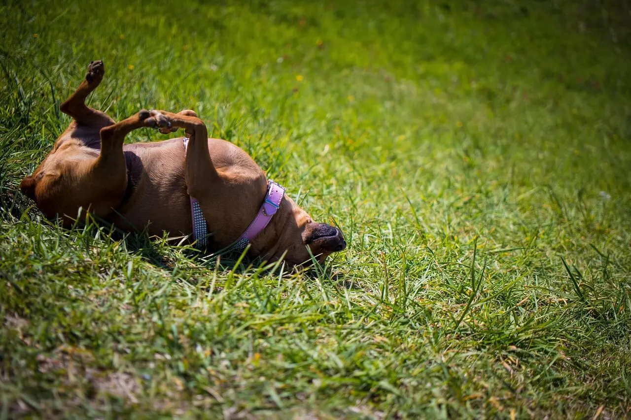 동네 이발소, 사라진 이웃의 추억 공간