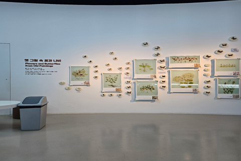 국립춘천어린이박물관