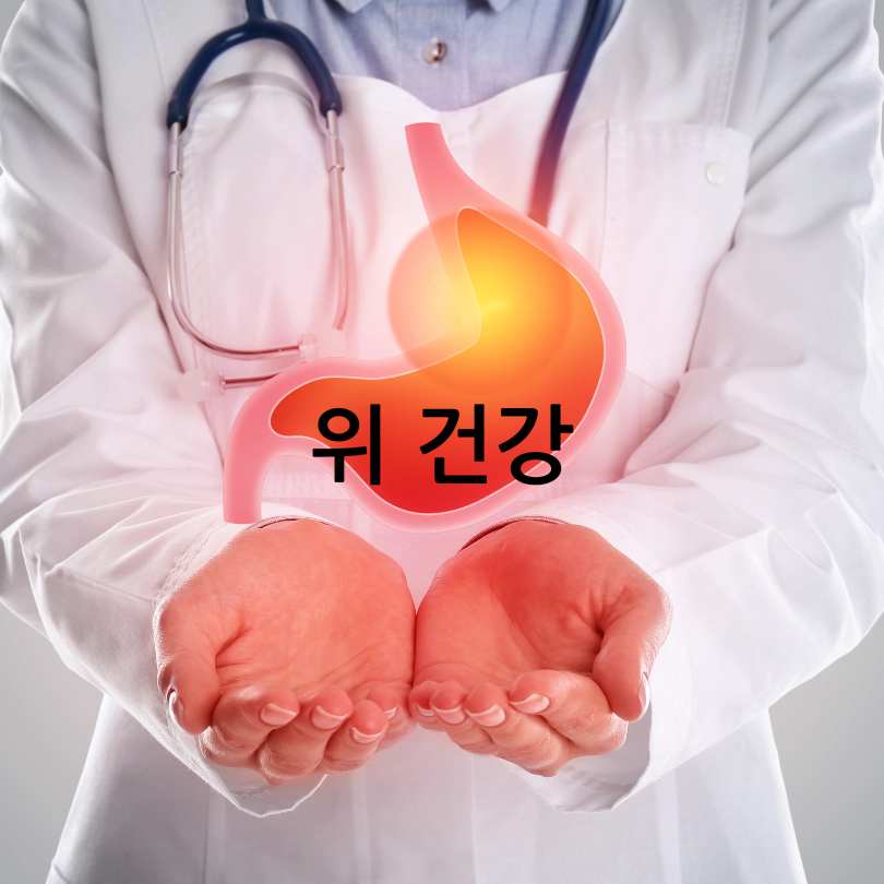 CCA주스 효능과 만드는 법