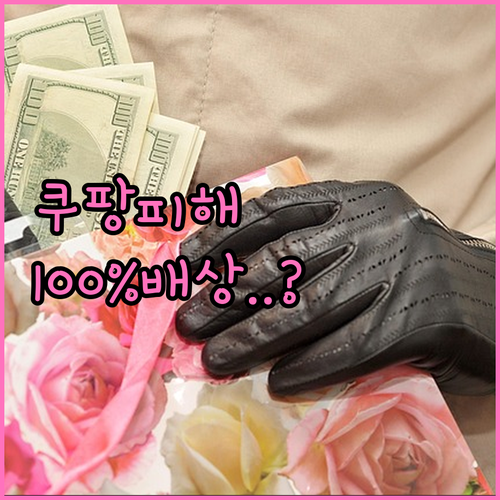 쿠팡 피해 배상 청구 공식 절차와 외..