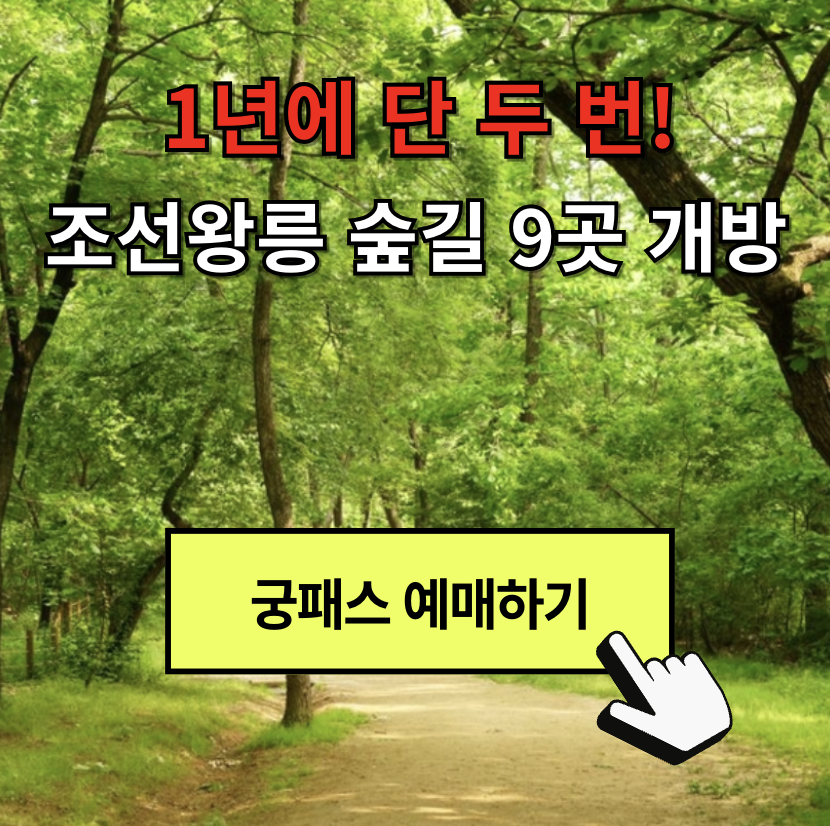 조선왕릉 숲길 9곳 개방, 1년에 단 두 번! (+ 국가유산청 궁능유적본부)