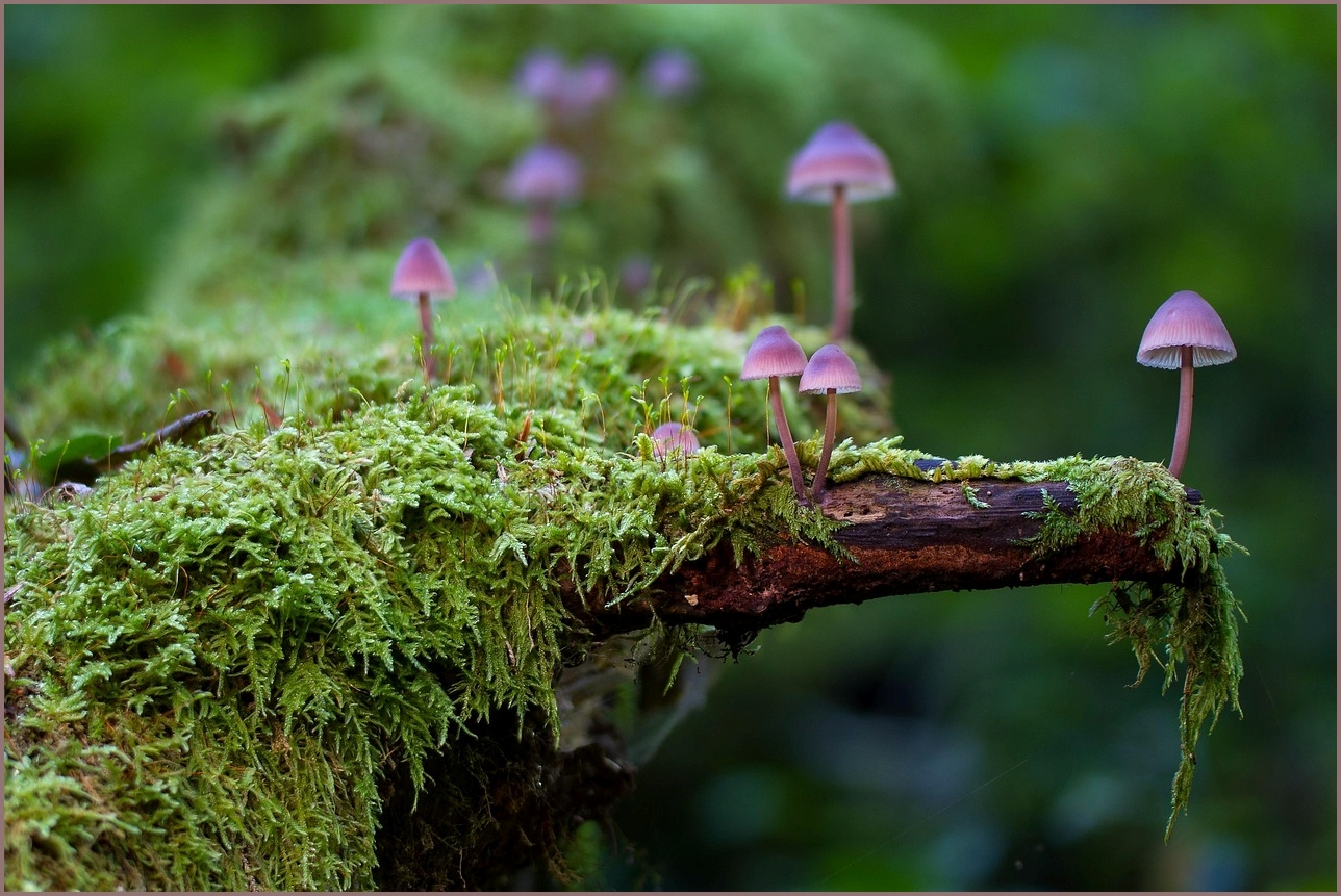 아이오닉5 가격표