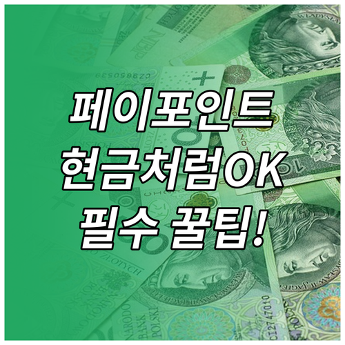 주요 페이 서비스 적립 포인트를 편의..