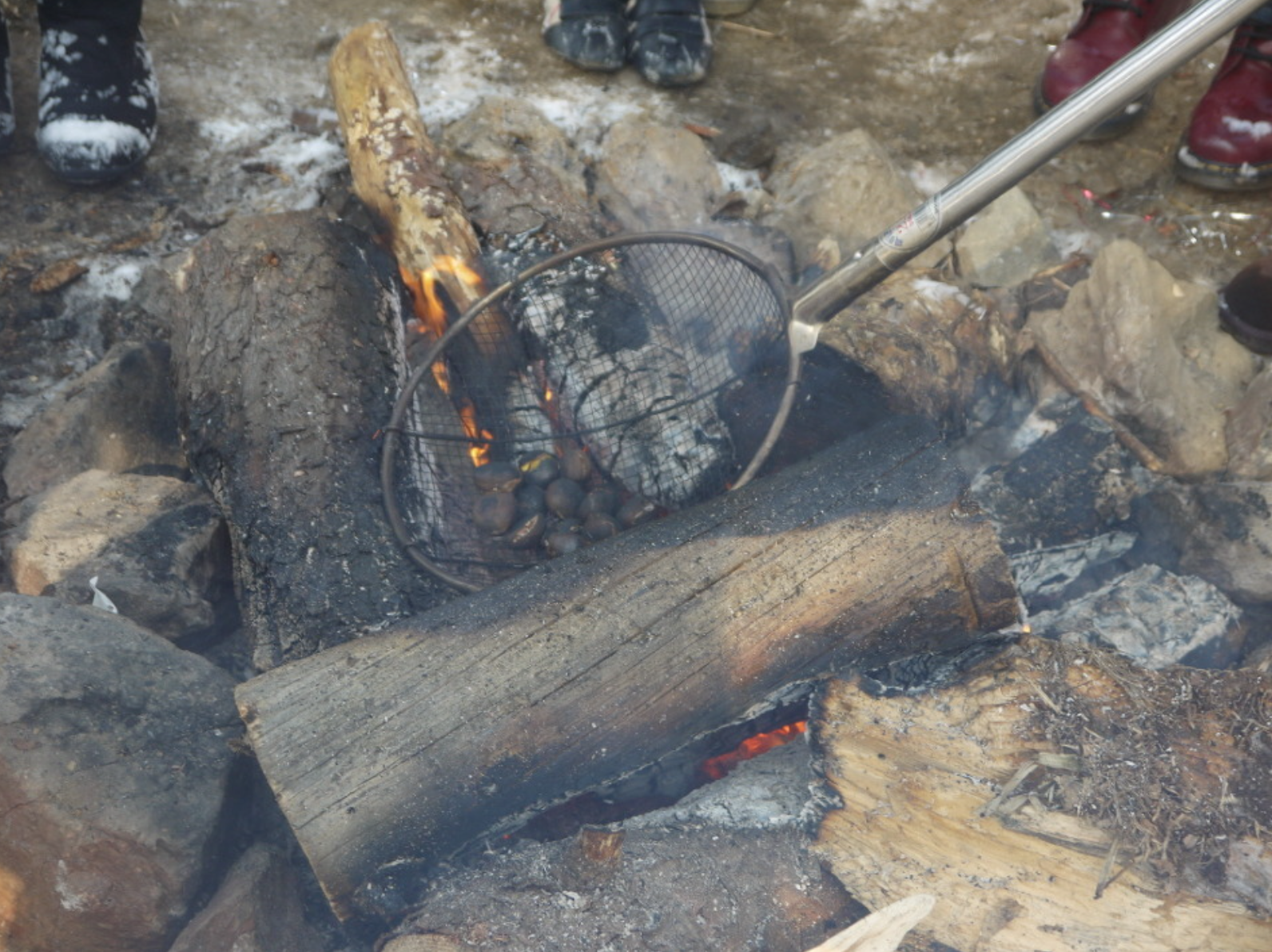 양평빙어축제 군밤구워먹기. 장작불에 군밤을 구워먹는 모습.
