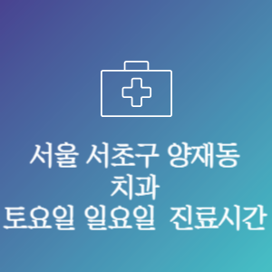 서울 서초구 양재동 치과 주말 토요일 일요일 문여는 병원 진료시간