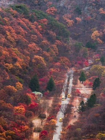 한국의 인기 명산 TOP 10